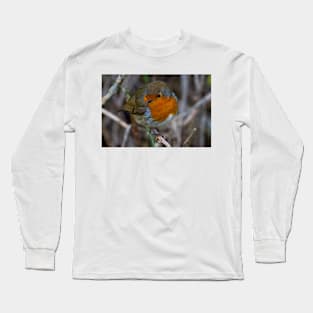 Fluffed up Robin Long Sleeve T-Shirt